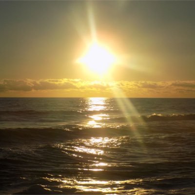 Iasigniora's profile picture. 