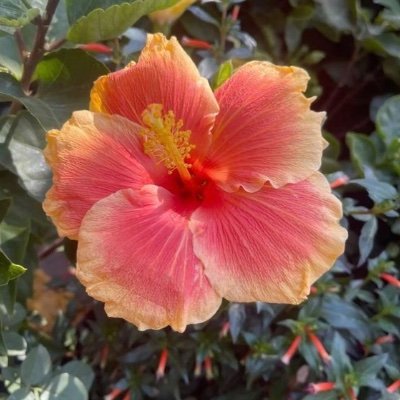 vasqu69938's profile picture. I'm lesbian, 18, looking for FWB or more so if your interested like or leave a comment