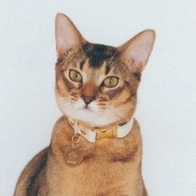 may_miss12's profile picture. แอคนี้ไม่ฝักใฝ่คู่ชิปใดคู่ชิปหนึ่ง อินคู่ไหนอยู่รีคู่นั้นแหละ