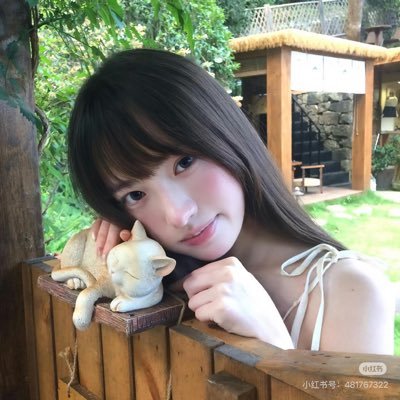hufeifei__88's profile picture. 1