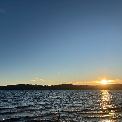 2CQGzsDFFI37490's profile picture. 