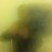 maximelefranc's profile image