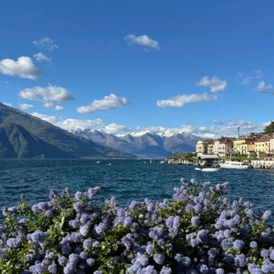 1tulip19's profile picture. Reading|Learning|Art|Culture|Health|Fitness.