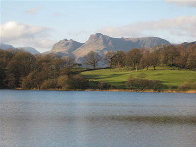 gotothelakes's profile picture. What's on in the Lake District? Places to stay, attractions to enjoy, activities to excite