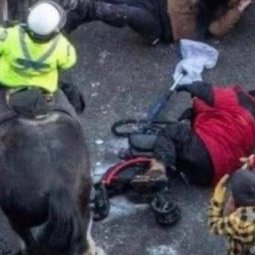 Renedaoust1Rene's profile picture. Conservative and proud. Looking to connect with like-minded individuals who value personal responsibility and believe in freedom of expression for all Canadian