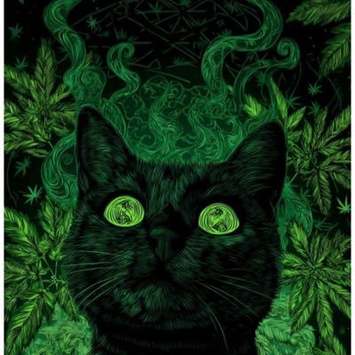 234_gordis's profile picture. 📺https://t.co/bOeV6cQCl7