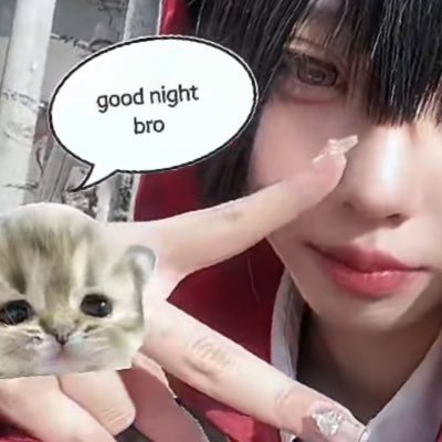 llll_n0's profile picture. 義務教育済18↓ / 雑多 / 存在しません / https://t.co/Ugp9izFGcP / 🗝▶︎@sub__n0