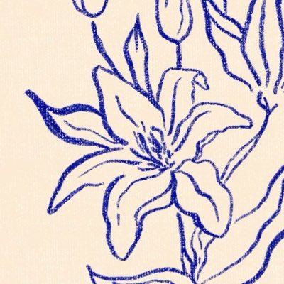 lilypickss's profile picture. sharing good finds 🌺