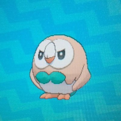 anjake95's profile picture. 30. He/Him. 🔞 Never jack off a cactus. Because you'll only hurt your hand. And the cactus' feelings. -Tre Cool 🐟🏆