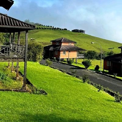 5195lemon's profile picture. 美しい景色と 花🌺 桜の木🎄が大好きです