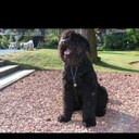 regina jansen - @reginajansen2 - Twitter