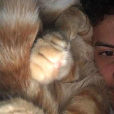 zak6zios's profile picture. un jour peut être