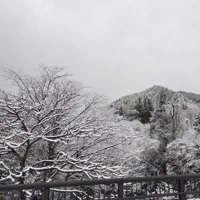 TonyaCabre48108's profile picture. 料理と読書が好き。家族や友人との団らんが一番の癒しです。