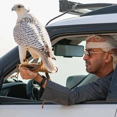 Aenawe10's profile picture. 