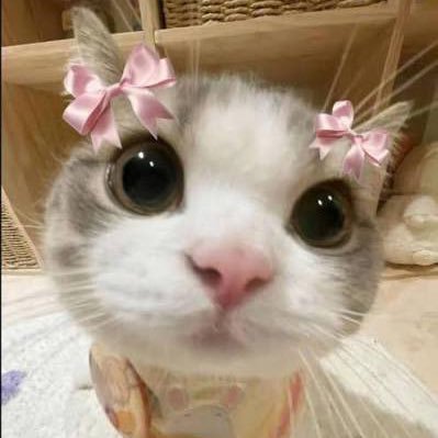 user12233344_'s profile picture. 