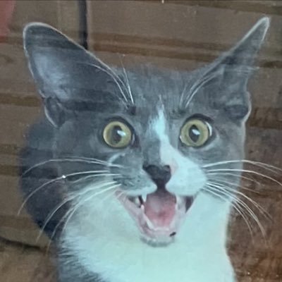 MikeMay33969137's profile picture. No DMs please. Browns and Yankee fan, Engineer, conservative/libertarian politically