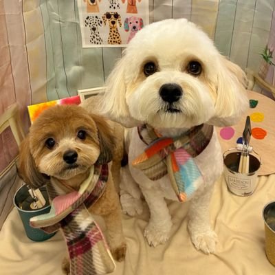 会長 のアバター