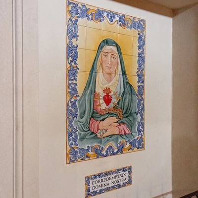 famulus_mariae_'s profile picture. Argentino y católico (tradicional). Viva Cristo Rey, Viva la Inmaculada Concepción.