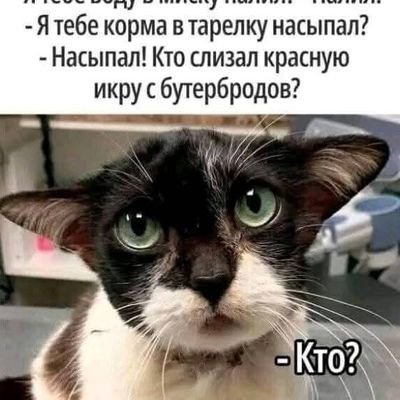 99999_igor's profile picture. Bio