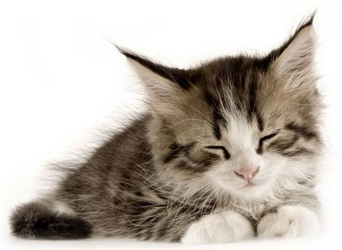 JurwayTech's profile picture. Manufacturer of Surveillance CCTV Camera