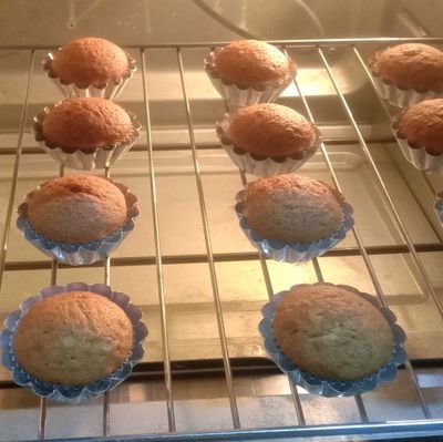 AznoIIXP2p4Ql4t's profile picture. 