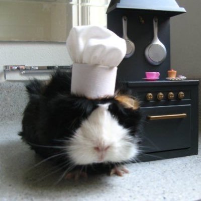 wenwelove's profile picture. 