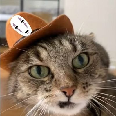 marshtamo's profile picture. 