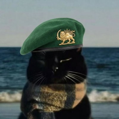 Bi_naam_Bi's profile picture. 