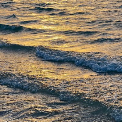 Zahraaasfoor_'s profile picture. «غَريبٌ أمامَ الدَّربِ، وَالدَّربُ مُوحِشٌ».