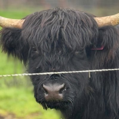 Robin97541675's profile picture. 