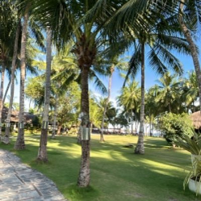 maRiiemonsaLe's profile picture. 