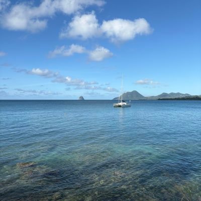 cuteandpsycho1's profile picture. 