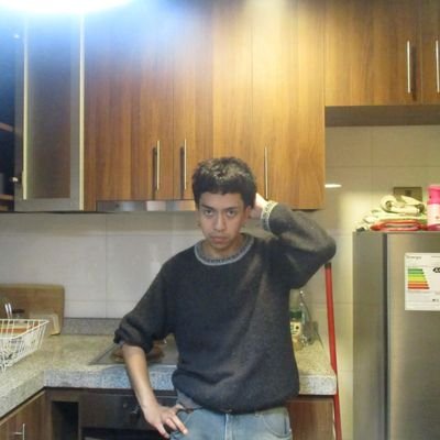 franciscosaaq's profile picture. estudio administración pública y ciencia política udec, me gustan los pudús y el socialismo