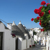 Puglia e Trulli ❤ (@puglialover) Twitter profile photo Puglia e Trulli ❤ (@puglialover) Twitter profile photo