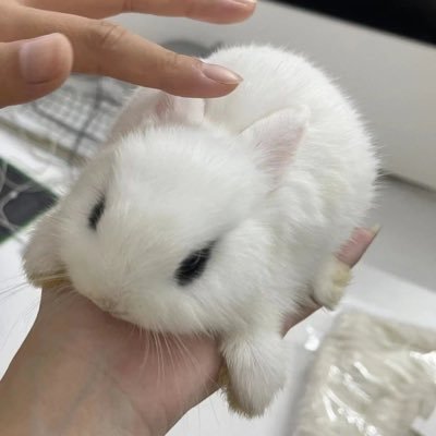 cherishmyminju's profile picture. 이 또한 지나가리라