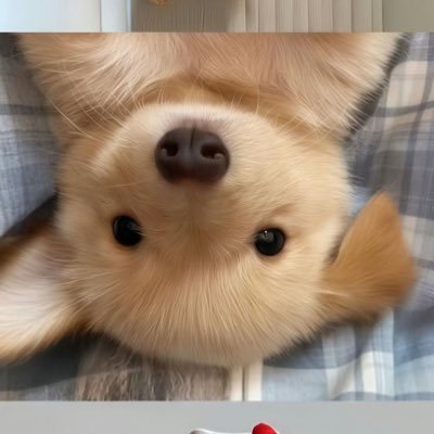 storiesend_'s profile picture. ☾♡☽ || People come and go, that’s life.