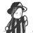 佐治尚実さんのプロフィール画像