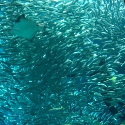 海月 (@ROn0zyHVyz35557) / Posts / X