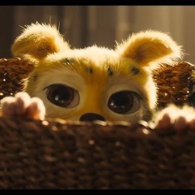 jujuwolf62's profile picture. 