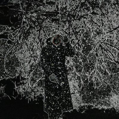 ylzyhs's profile picture. 