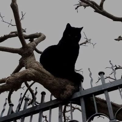 truebluemooon's profile picture. For as long as I exist, you will be loved – 96979900 | 각자 할 일 열심히 하다가 얼른 만나자