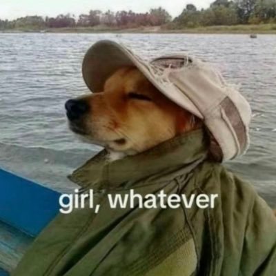 marianarentj's profile picture. bless this mess