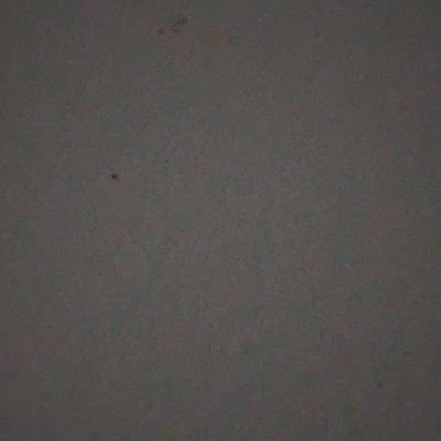 PigFrogger's profile picture. 