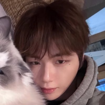 Flying_h_d's profile picture. 