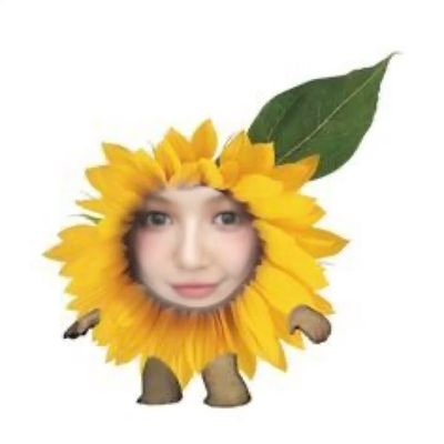 k_girl_material's profile picture. -Kpop
-Anime
-photography
-Nature