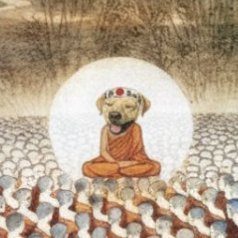 _Conan0x's profile picture. poasting