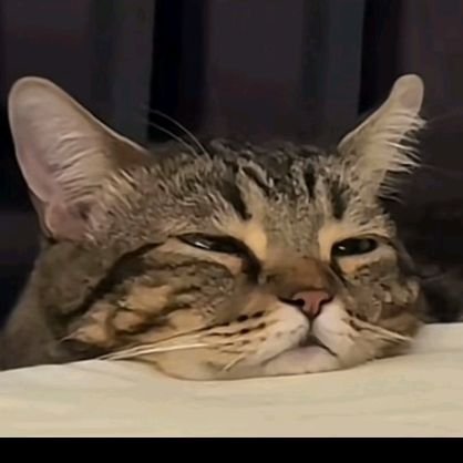 razoil's profile picture. Simple