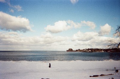 anushka_13S's profile picture. Environmental Reporter @ The Pointer
Previously: @bnnbloomberg, @nowtoronto, @TorontoStar, @globalnews, @CBC, @CTVNews, @CU_IIJ,@HumberOnline, @scoonews