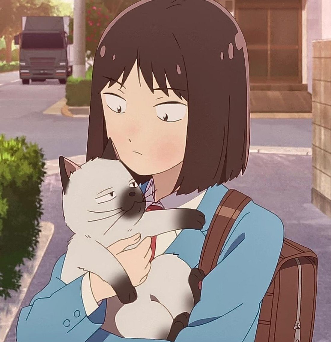 Dmfilms's profile picture. 