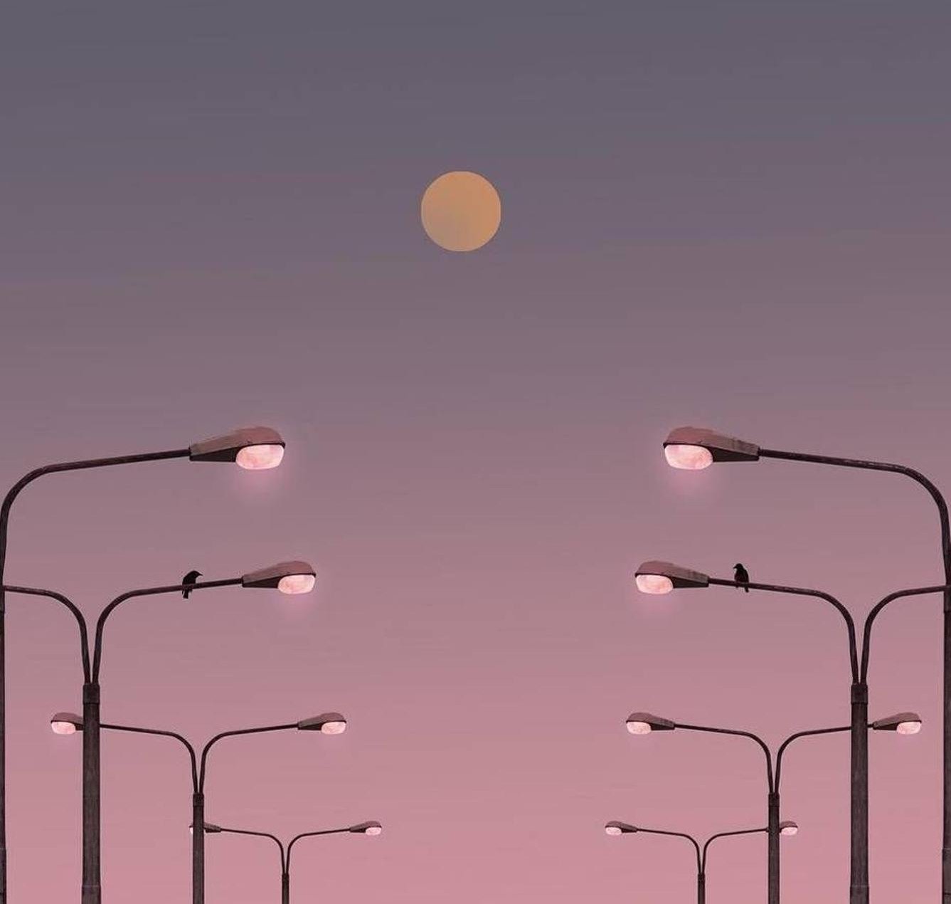 ds271130's profile picture. 